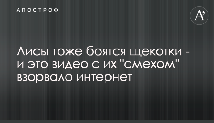 Лисиці теж бояться лоскоту - і це відео з їх 