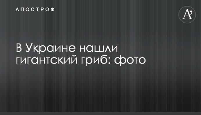 В Україні знайшли гігантський гриб: фото