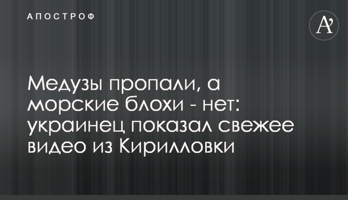 Медузи пропали, а морські блохи - ні: українець показав свіже відео з Кирилівки