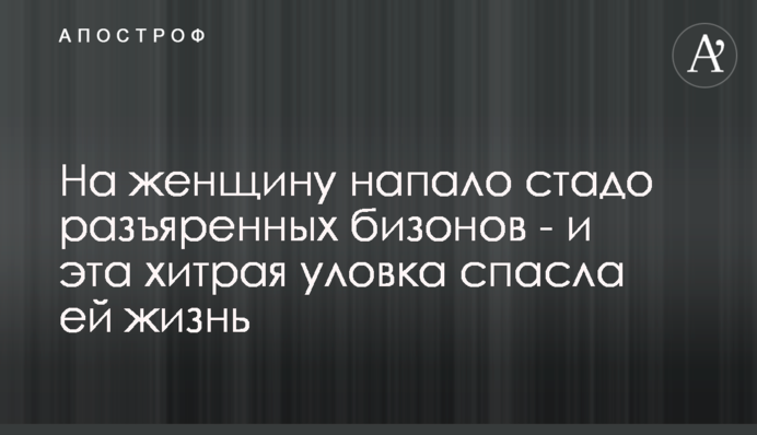На женщину напало стадо разъяренных бизонов - и эта хитрая уловка спасла ей жизнь