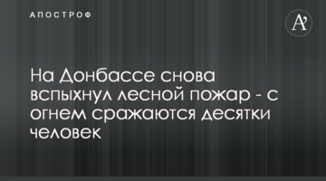 На Донбасі знову спалахнула лісова пожежа - з вогнем борються десятки людей