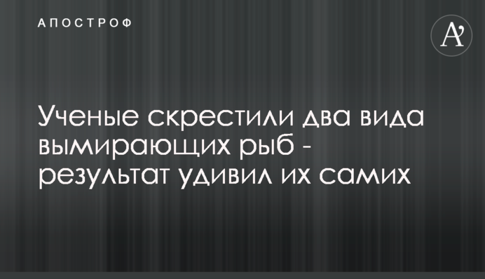Вчені схрестили два види вимираючих риб - результат здивував їх самих