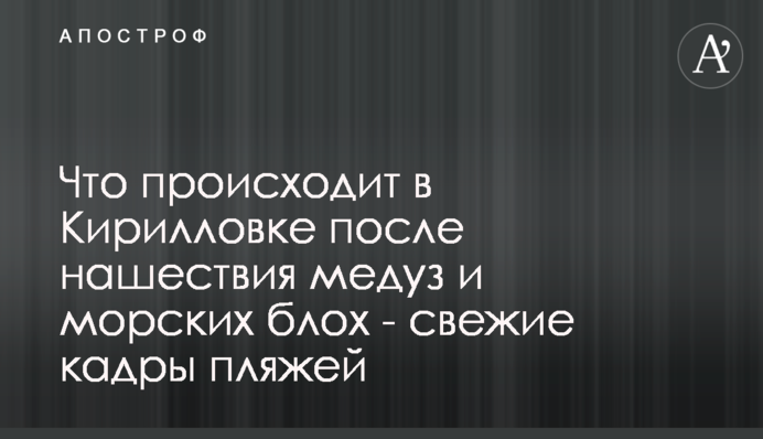 Что происходит в Кирилловке после нашествия медуз и морских блох - свежие кадры пляжей