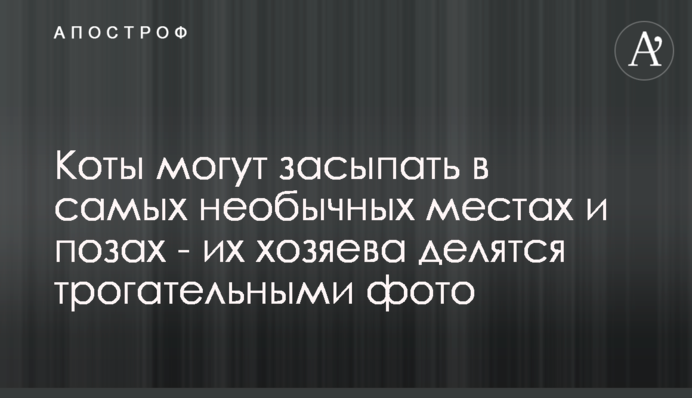 Коти можуть засинати в найнезвичайніших місцях і позах - їх господарі діляться зворушливими фото
