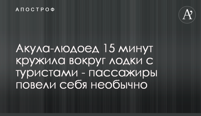 Акула-людоед 15 минут кружила вокруг лодки с туристами - пассажиры повели себя необычно