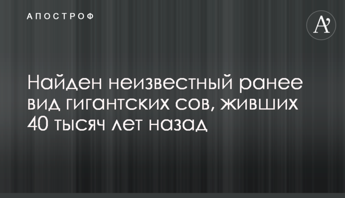 Найден неизвестный ранее вид гигантских сов,  живших 40 тысяч лет назад