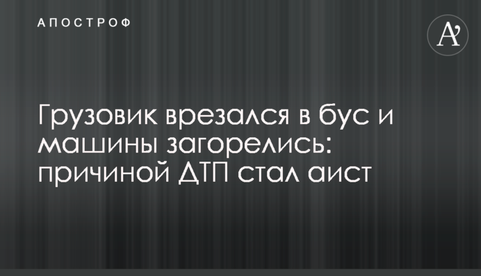 Вантажівка врізалася в бус і машини загорілися: причиною ДТП став лелека
