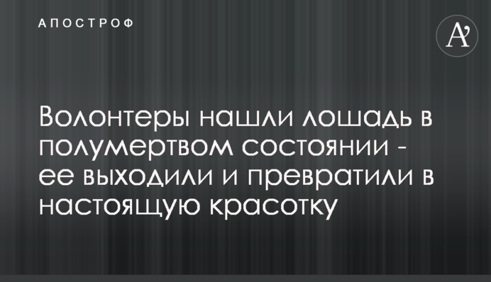 ​Волонтери знайшли коня в напівмертвому стані - його виходили і перетворили на справжню красуню