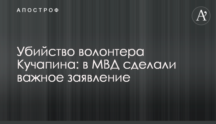 Убийство волонтера Кучапина: в МВД сделали важное заявление