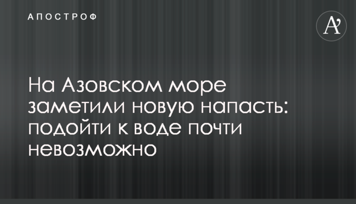 На Азовском море заметили новую напасть: подойти к воде почти невозможно