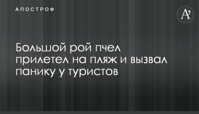 Великий рій бджіл прилетів на пляж і викликав паніку серед туристів