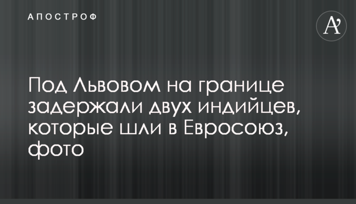 Под Львовом на границе задержали двух индийцев, которые шли в Евросоюз, фото