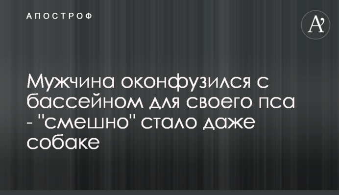 Мужчина оконфузился с бассейном для своего пса - 