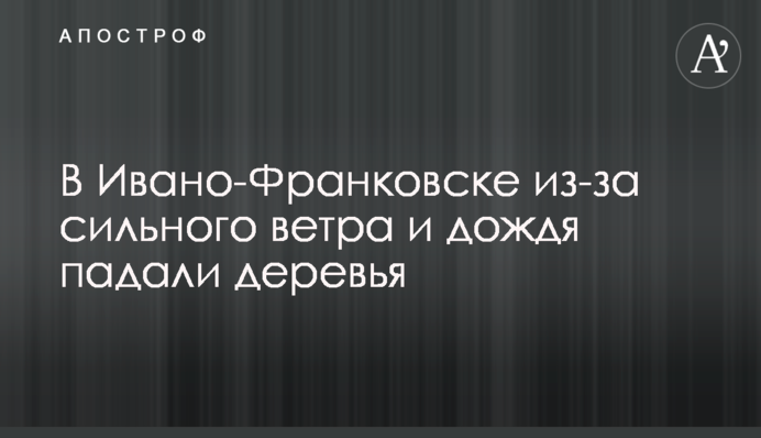 В Ивано-Франковске из-за сильного ветра и дождя падали деревья