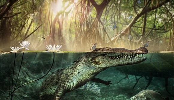 Вчені зробили томографію древнього черепа крокодила і були вражені