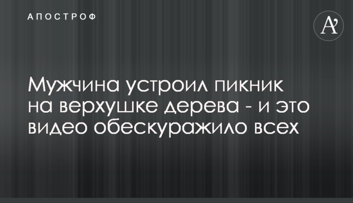 Мужчина устроил пикник на верхушке дерева - и это видео обескуражило всех