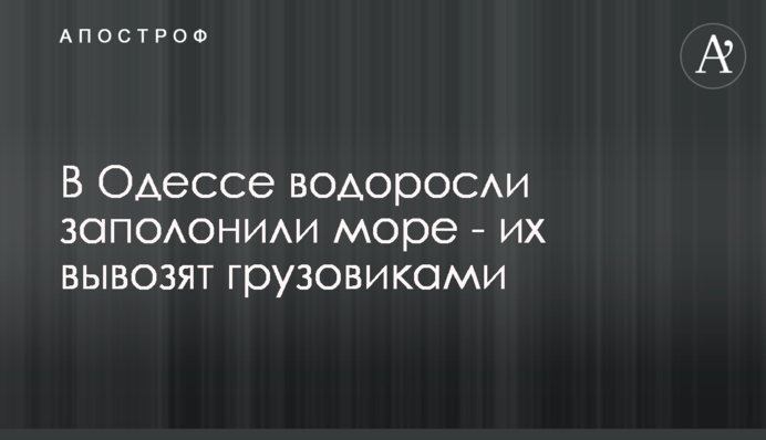 В Одессе водоросли заполонили море - их вывозят грузовиками