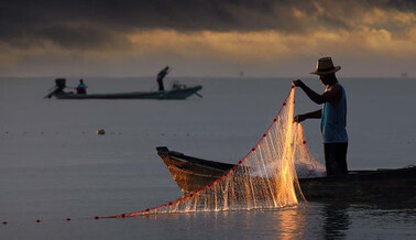 Чоловіки зловили рибу вагою 800 кг - на такий улов збігся дивитися натовп