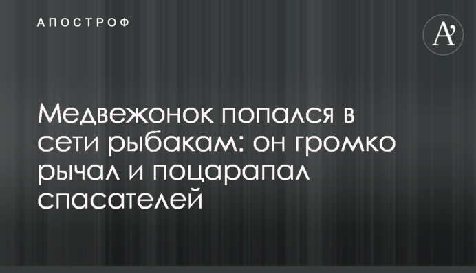 Ведмежа попалося в сітки рибалкам: воно голосно гарчало і подряпало рятувальників