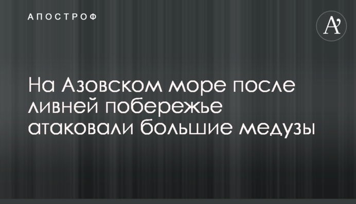 На Азовському морі після злив узбережжя атакували великі медузи