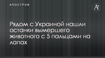 ​Поруч з Україною знайшли останки вимерлої тварини з 5 пальцями на лапах