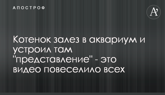 Кошеня залізло в акваріум і влаштувало там 