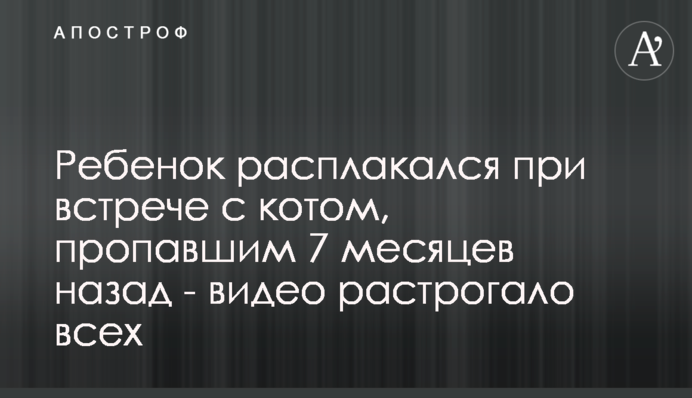 Ребенок расплакался при встрече с котом, пропавшим 7 месяцев назад - видео растрогало всех