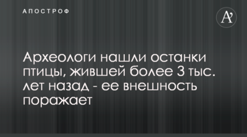 Археологи знайшли останки птиці, що жила більше 3 тис. років тому - її зовнішність вражає