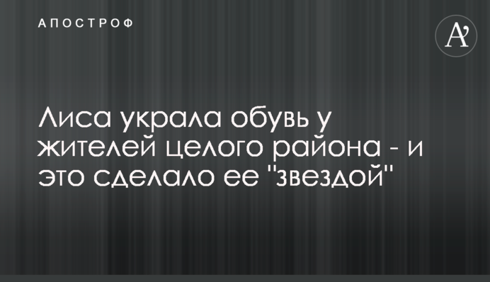 Лиса украла обувь у жителей целого района - и это сделало ее 