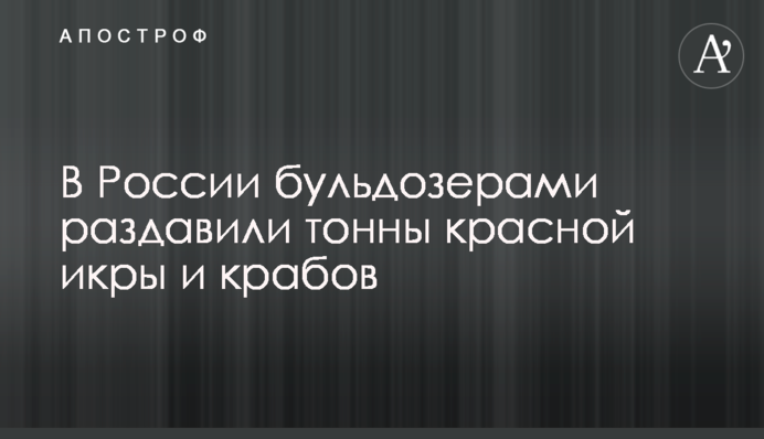В России бульдозерами раздавили тонны красной икры и крабов