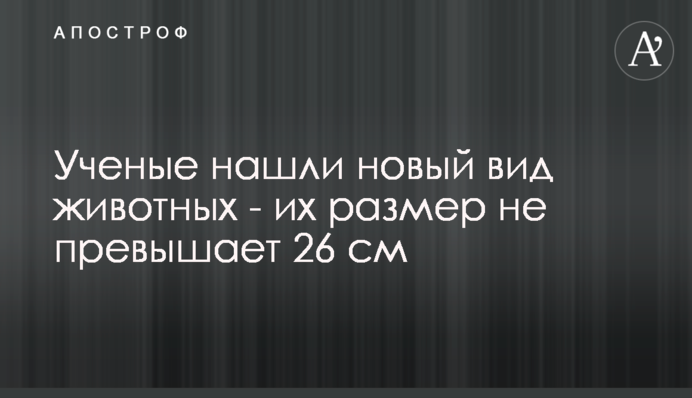 Вчені знайшли новий вид тварин - їх розмір не перевищує 26 см