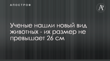 Вчені знайшли новий вид тварин - їх розмір не перевищує 26 см