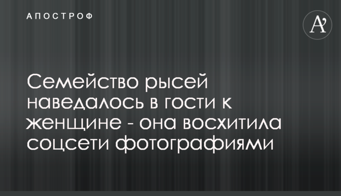 Сімейство рисей навідалося в гості до жінки - вона захопила соцмережі фотографіями