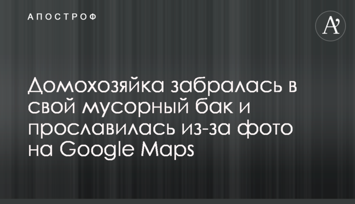 Домогосподарка забралася в свій сміттєвий бак і прославилася через фото на Google Maps