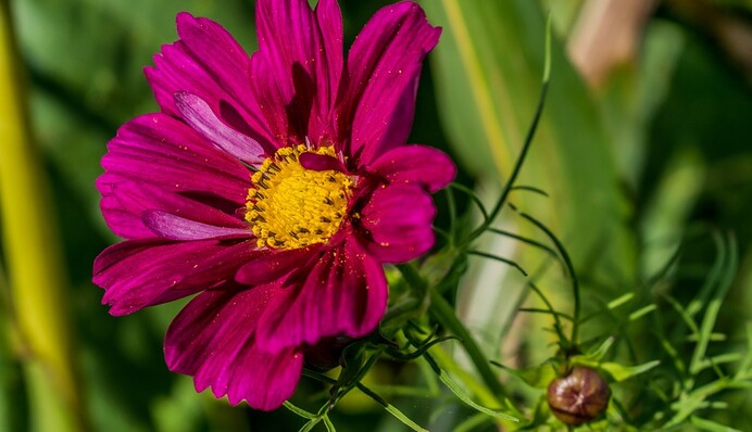 В Україну йде антициклон - погода готує багато 