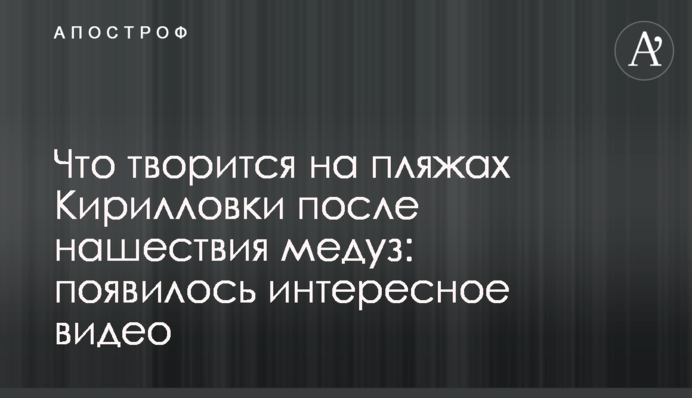 ​Що відбувається на пляжах Кирилівки після навали медуз: з'явилося цікаве відео