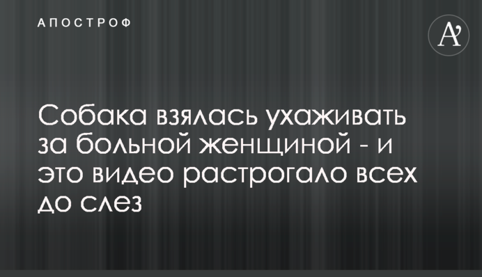 Собака взявся доглядати за хворою жінкою - і це відео зворушило всіх до сліз