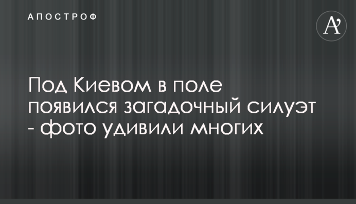 Під Києвом у полі з'явився загадковий силует - фото здивували багатьох
