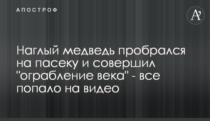 Нахабний ведмідь пробрався на пасіку і здійснив 