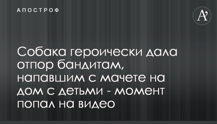 Собаки героически дали отпор бандитам, напавшим с мачете на дом с детьми - момент попал на видео
