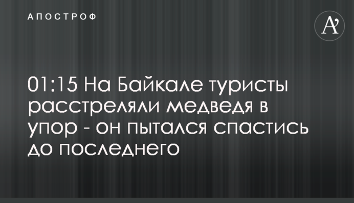 На Байкале туристы расстреляли медведя в упор - он пытался спастись до последнего