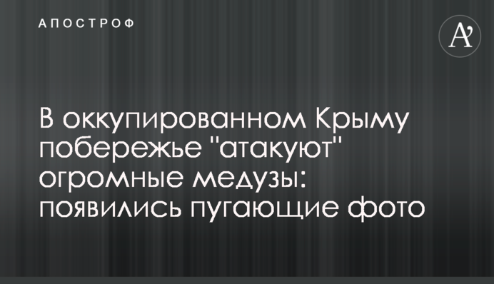 В оккупированном Крыму побережье 