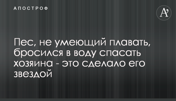 Пес, який не вміє плавати, кинувся в воду рятувати господаря - це зробило його зіркою