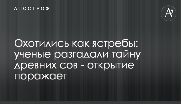 Полювали як яструби: вчені розгадали таємницю стародавніх сов - відкриття вражає