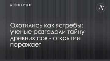 Полювали як яструби: вчені розгадали таємницю стародавніх сов - відкриття вражає