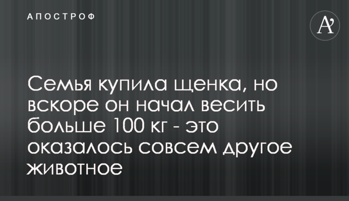 Семья купила щенка, но вскоре он начал весить больше 100 кг  - это оказалось совсем другое животное