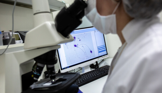 Вчені виявили нові види грибів - один назвали на честь карантину