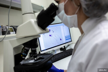 Вчені виявили нові види грибів - один назвали на честь карантину