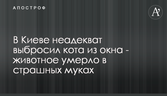 У Києві неадекват викинув кота з вікна - тварина померла в страшних муках