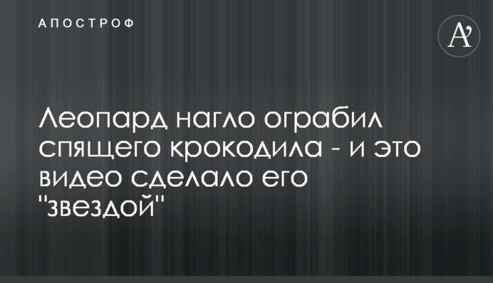 Леопард нагло ограбил спящего крокодила - и это видео сделало его 